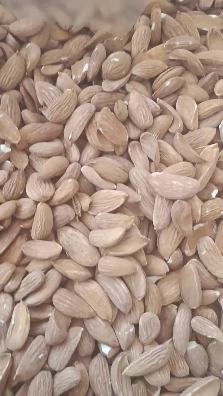 تخمه و مغز بادام بو داده تازه با فروش عمده و خرده|خوردنی و آشامیدنی|اصفهان, بهارستان|دیوار