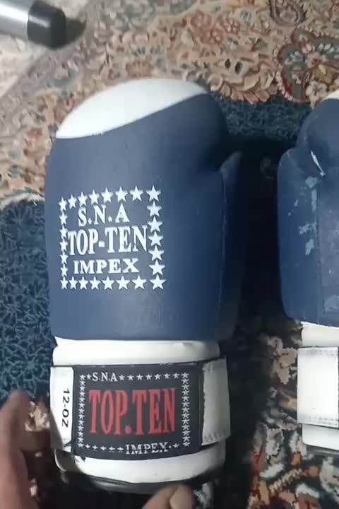 دستکش بوکس توپتن|تجهیزات ورزشی|تربت‌حیدریه, حیدرآباد|دیوار