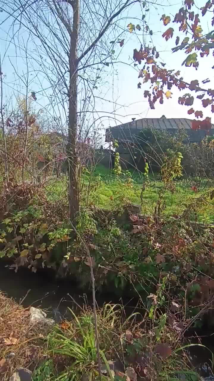 زمین مسکونی ۳۰۰ متری لاهیجان سیاهکل سند پروانه|فروش زمین و ملک کلنگی|لاهیجان, کوه بیجار|دیوار
