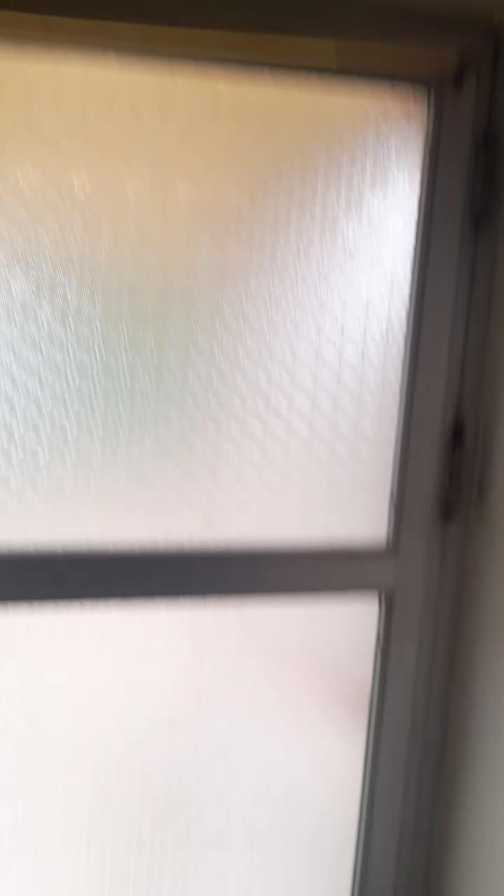 اجرای کناف و آرمسترانگ زیر قیمت|خدمات پیشه و مهارت|رشت, حمیدیان|دیوار