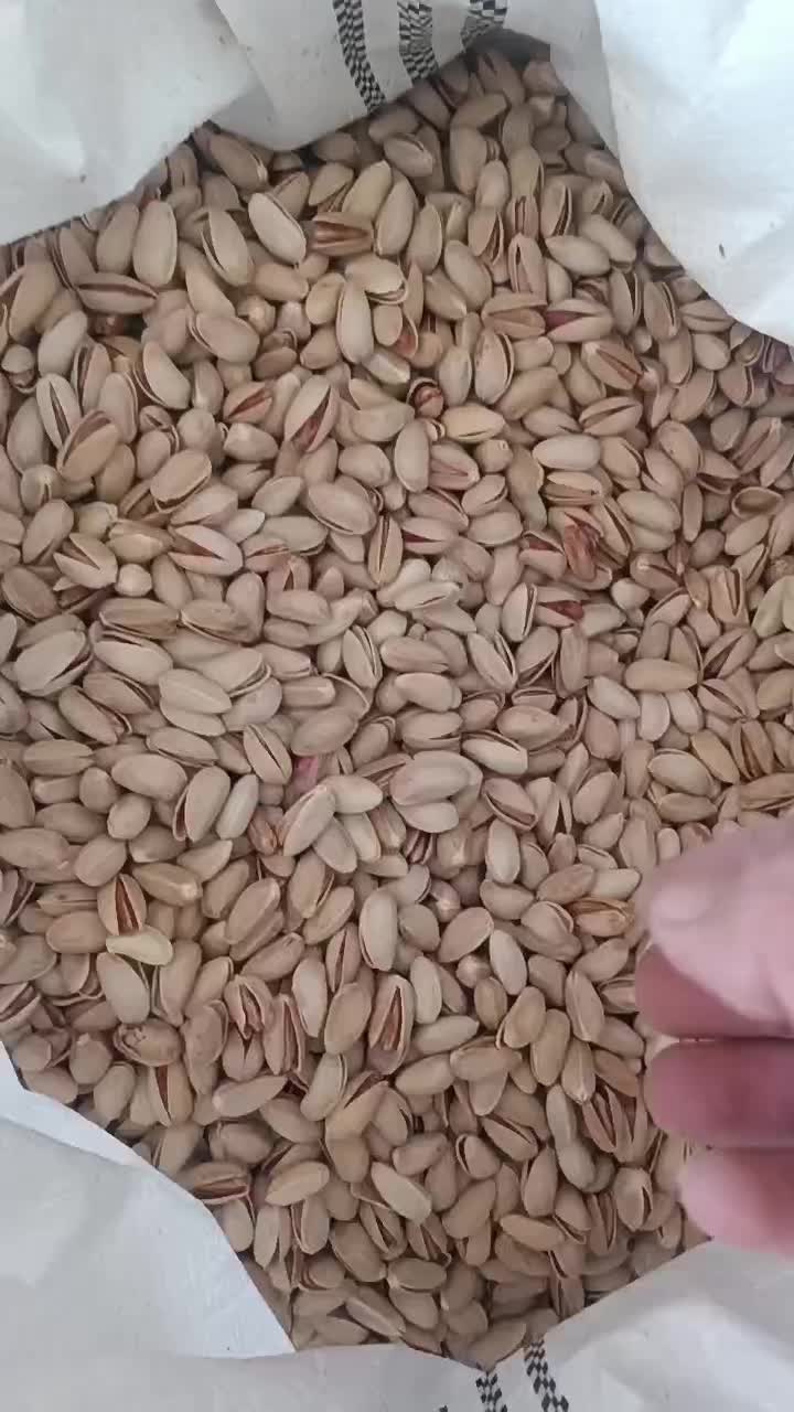 پسته اکبری|خوردنی و آشامیدنی|قم, شهر قائم|دیوار