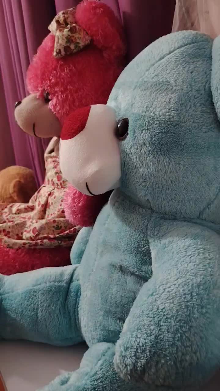 دو تا خرس تمیز در حد آک|اسباب‌‌بازی|اهواز, زیتون کارمندی|دیوار