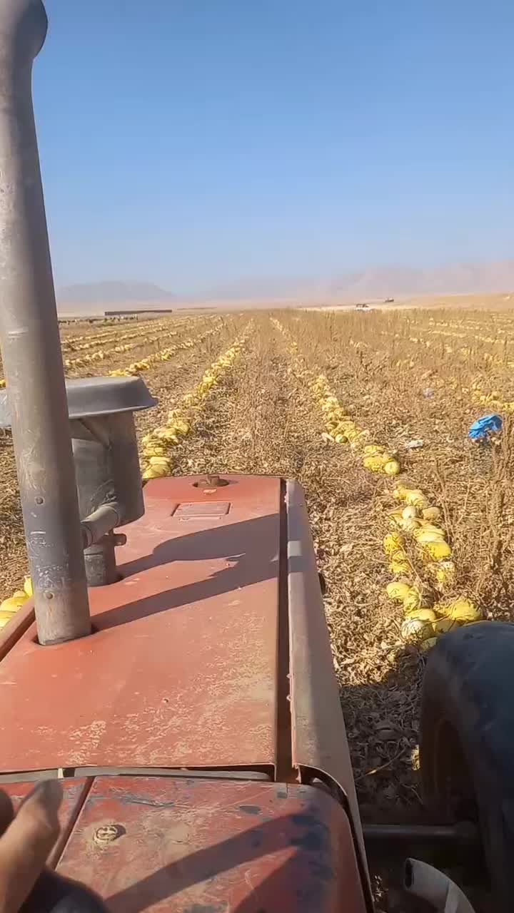 کدوخردکن درحدنو|ماشینآلات صنعتی|آباده, |دیوار