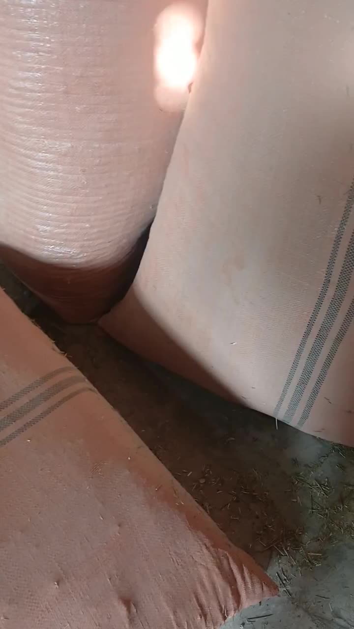 یونجه|حیوانات مزرعه|شیبکوه (فارس), |دیوار