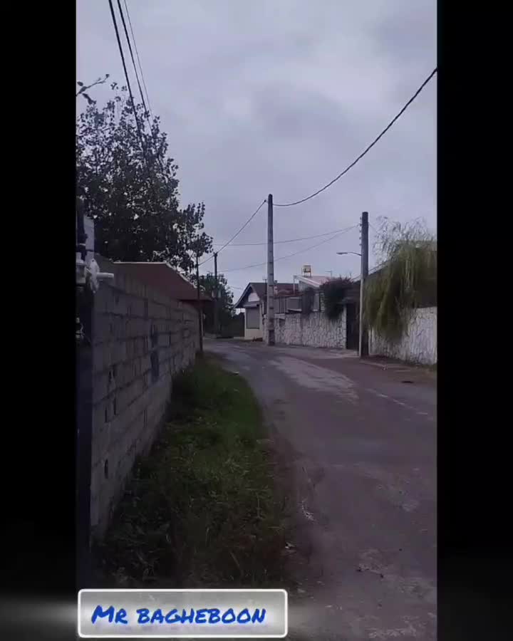 خدمات باغبانی وطراحی فضای سبز|خدمات باغبانی و درختکاری|بندر انزلی, انصار الحسین|دیوار