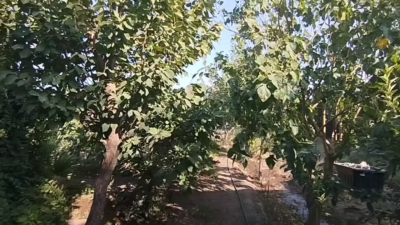 فروش خانه ویلایی ۱ خوابه در آذر (نکویی جنت اباد|فروش خانه و ویلا|قم, آذر (نکویی)|دیوار