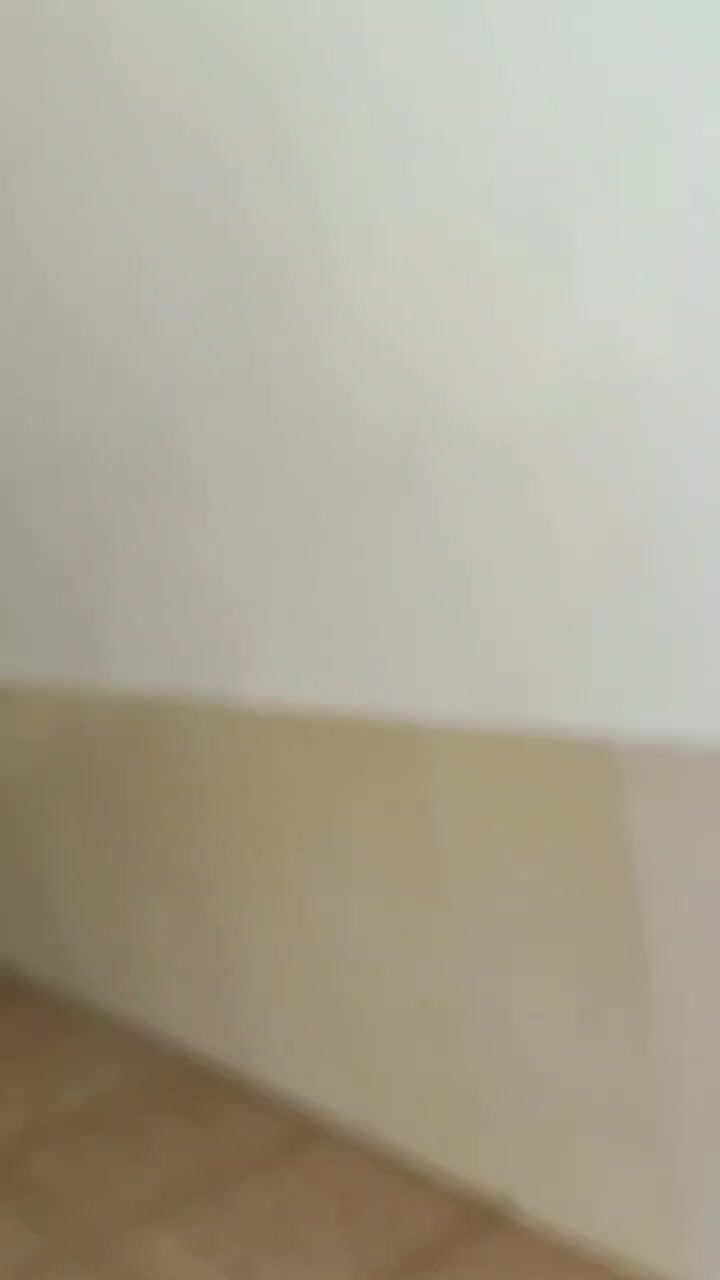 اجاره سویت لوکس مهاباد|اجارهٔ کوتاه‌مدت آپارتمان و سوئیت|مهاباد (آذربایجان غربی), |دیوار