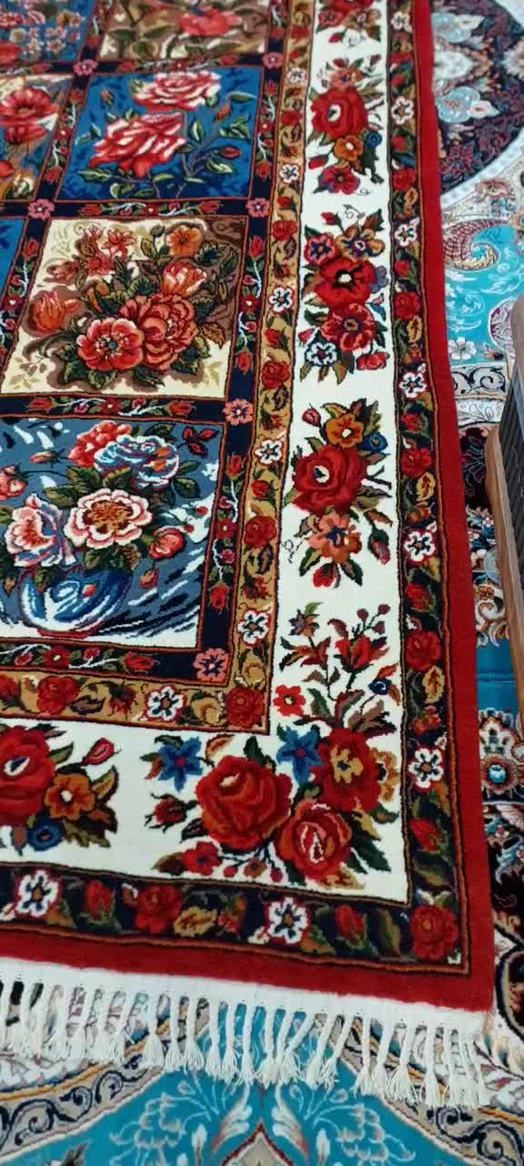 قالی دست بافت شیدایی|فرش|نوشهر, |دیوار