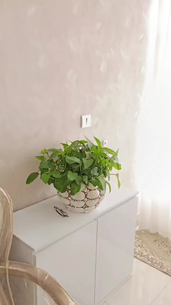 ویلایی دربست مدرس ۱۳ مناسب جهیزیه|اجارهٔ خانه و ویلا|تربتحیدریه, حسنی بالا|دیوار