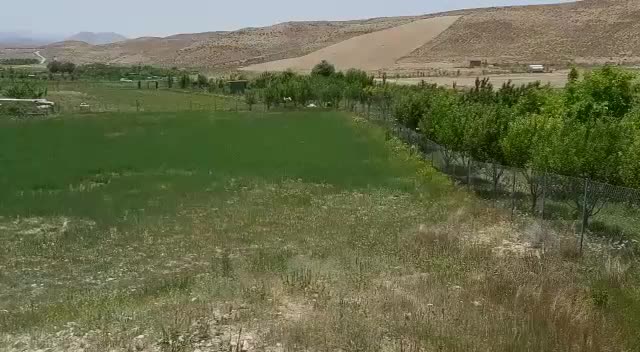 زمین کشاورزی به مساحت 2511 متر با سند تک برگی|فروش زمین و ملک کلنگی|فیروزکوه, |دیوار