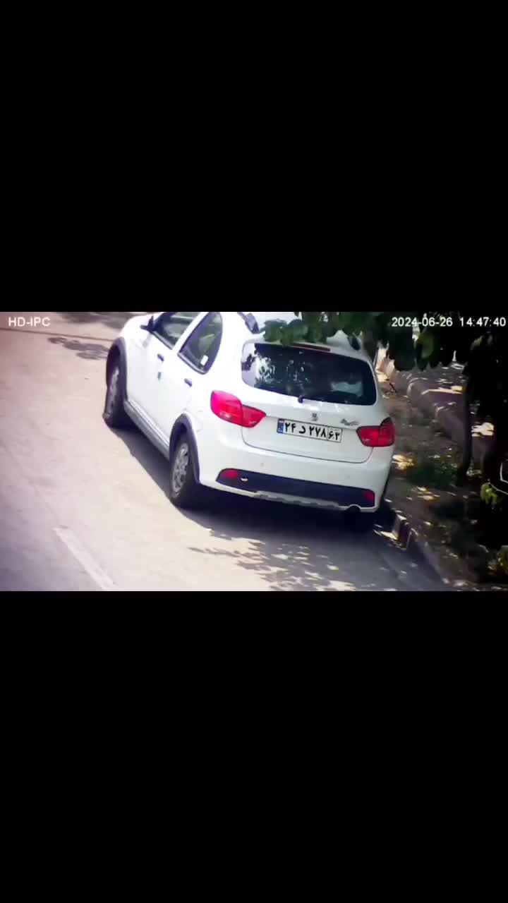 نمایندگی دورمین مداربسته لاگسی وتولدکنه تمیم پیشرو|دوربین مداربسته|بافت, |دیوار