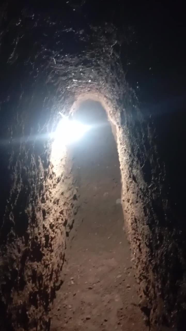 چاه کن محمدی|خدمات پیشه و مهارت|تربت جام, بوستان وحدت|دیوار