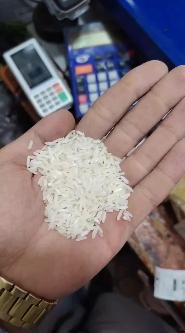 برنج هومالی، تایلندی، اروگوای، آمرکایی|عمده‌فروشی|مریوان, |دیوار