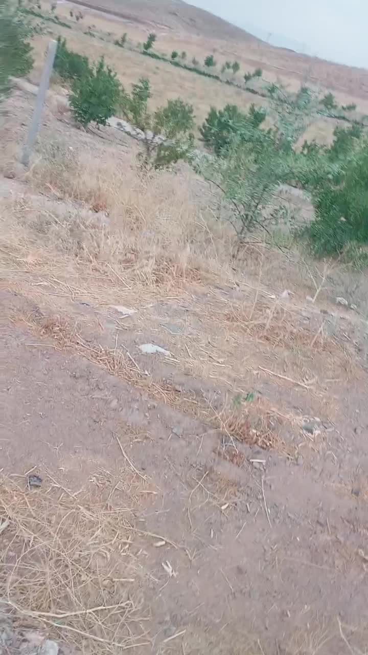 باغ اول شهر|فروش دفتر صنعتی، کشاورزی، تجاری|ازنا, |دیوار