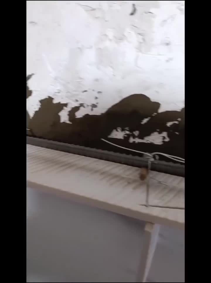 کاشی سرامیک|خدمات پیشه و مهارت|کرمان, |دیوار