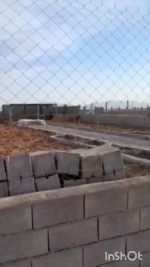 باغات محمودآباد گرگاب ۳۶ ماهه چکی سند تک برگ|فروش زمین و ملک کلنگی|شاهین‌شهر, خبرنگار|دیوار