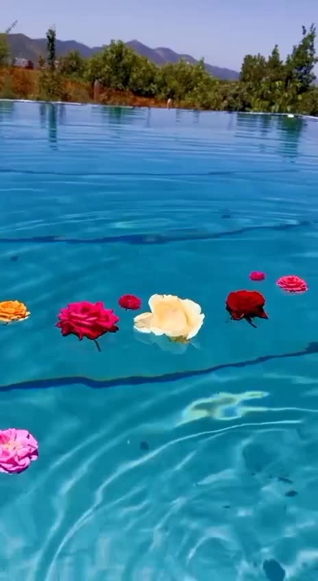 ویلا باغ اجاره  لاک چری با ویوی بینظیر|اجارهٔ کوتاه‌مدت ویلا و باغ|مریوان, |دیوار