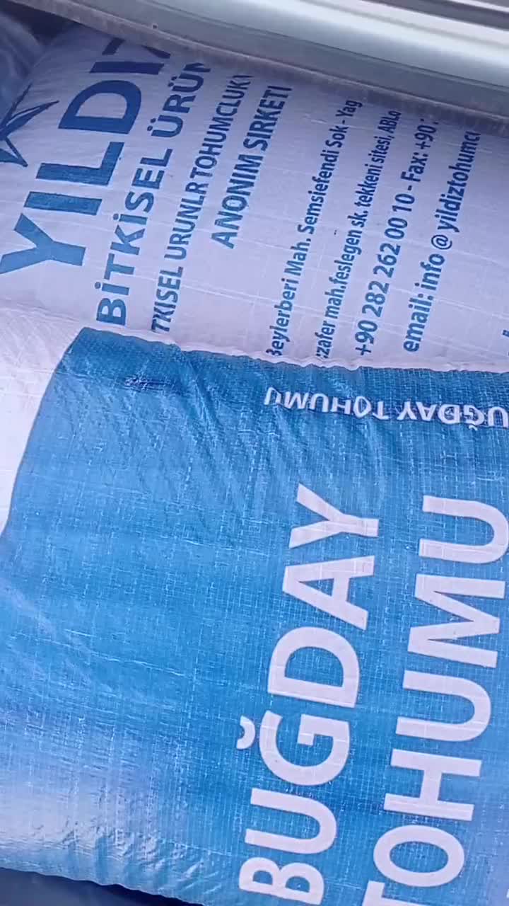 بذر گندم اوکراین|خدمات باغبانی و درختکاری|قروه, |دیوار