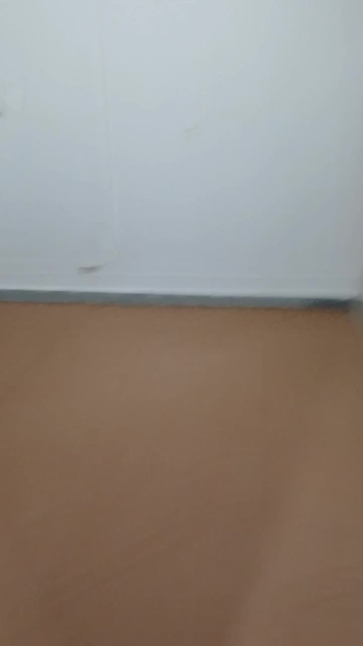 منزل ویلایی امامت سجادشهر دربست همراه با زیرزمین|اجارهٔ خانه و ویلا|بیرجند, |دیوار