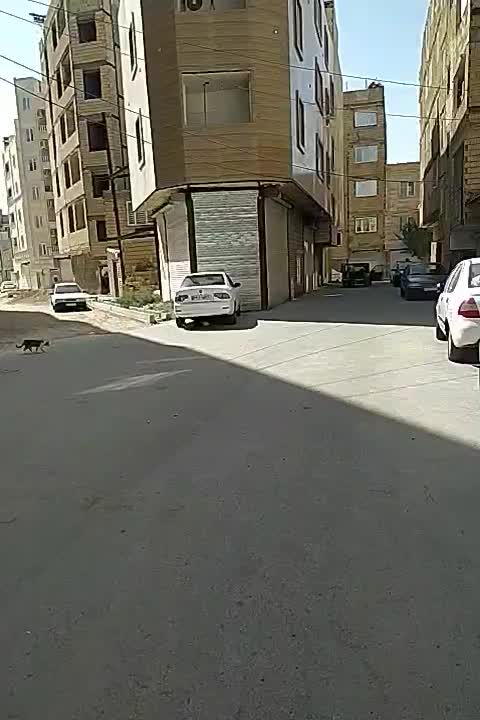 فروش مغازه 56متری نصیرشهر|فروش مغازه و غرفه|رباط‌کریم, نصیرشهر|دیوار