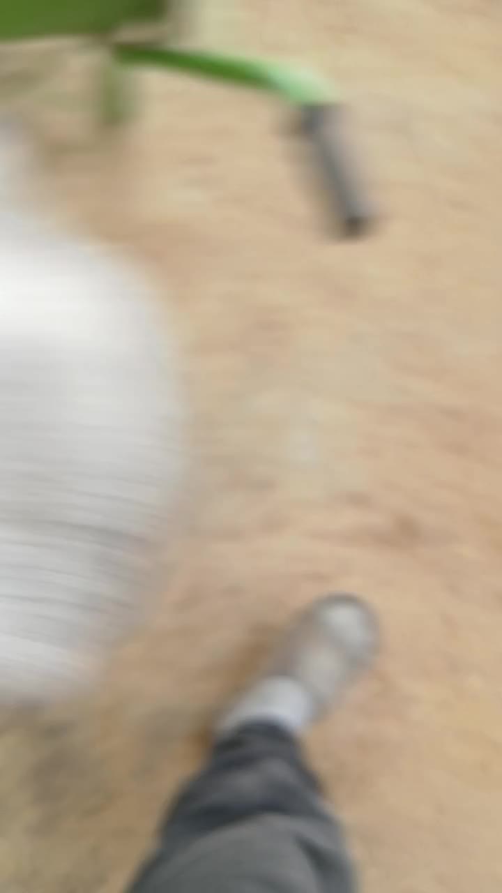 گوساله چاق|حیوانات مزرعه|فردوسیه, |دیوار