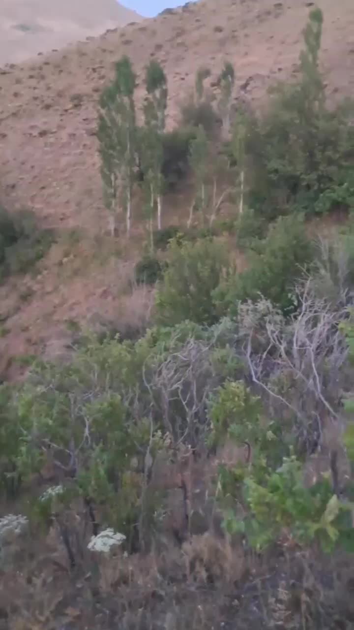 فروش باغ کشاورزی|فروش دفتر صنعتی، کشاورزی، تجاری|سنندج, |دیوار