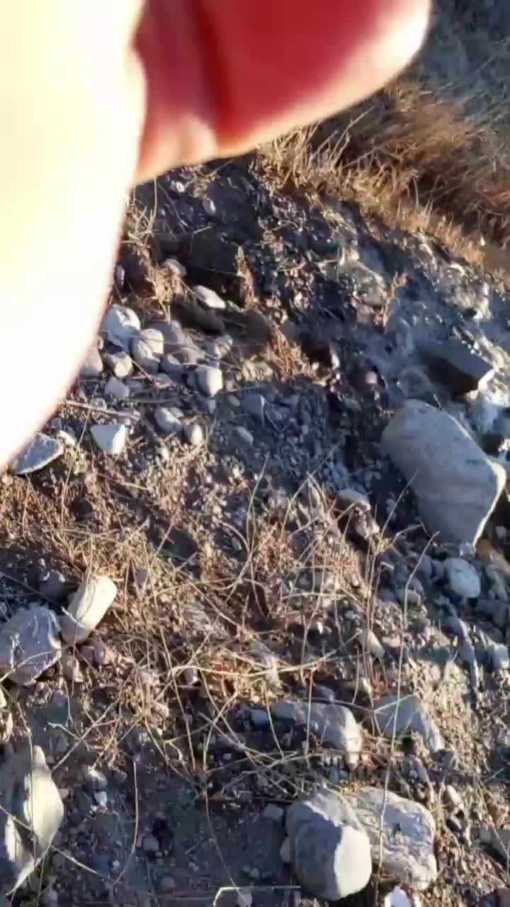 کارشناسی و آب یابی|خدمات پیشه و مهارت|ساوه, |دیوار