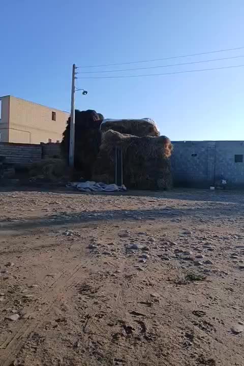 یونجه|حیوانات مزرعه|بران, |دیوار