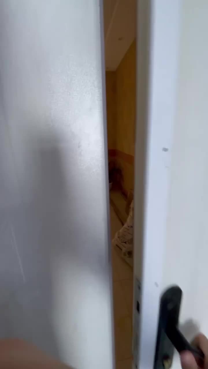 خانه رهن و اجاره|اجارهٔ خانه و ویلا|تربت‌حیدریه, حسنی بالا|دیوار