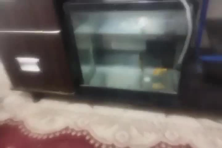 سلام دوستان عزیز|ماهی|باقرشهر, |دیوار