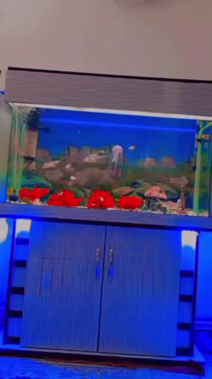 آکواریوم با همه وسایل|ماهی|ورامین, خیر آباد|دیوار