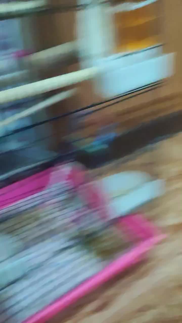 عروس هلندی یا عروس پاریس|پرنده|سوسنگرد, |دیوار