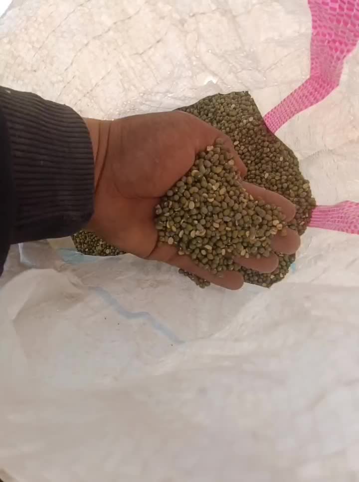 ماش درجه یک|خوردنی و آشامیدنی|حمیدیه, |دیوار