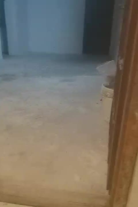 اجاره مسکن|اجارهٔ خانه و ویلا|دالخانی, |دیوار