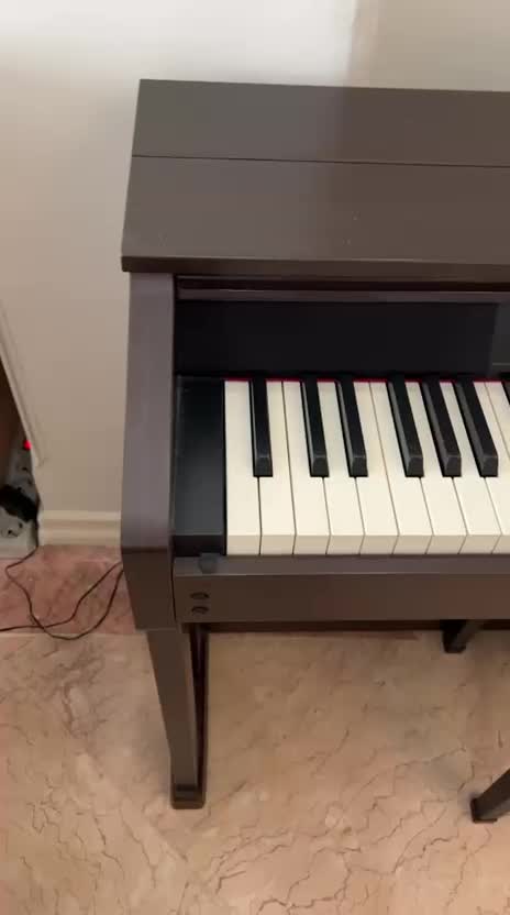 پیانو دیجیتال Casio AP-460 واقعا در حدنو|پیانو، کیبورد، آکاردئون|تهران, سعادت‌آباد|دیوار