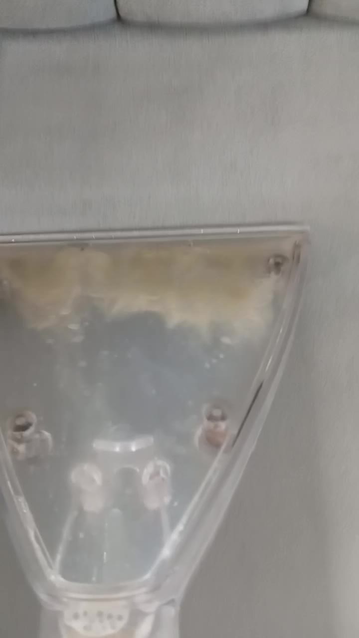 مبل شویی متین|خدمات نظافت|گلبهار, شهر جدید گلبهار|دیوار