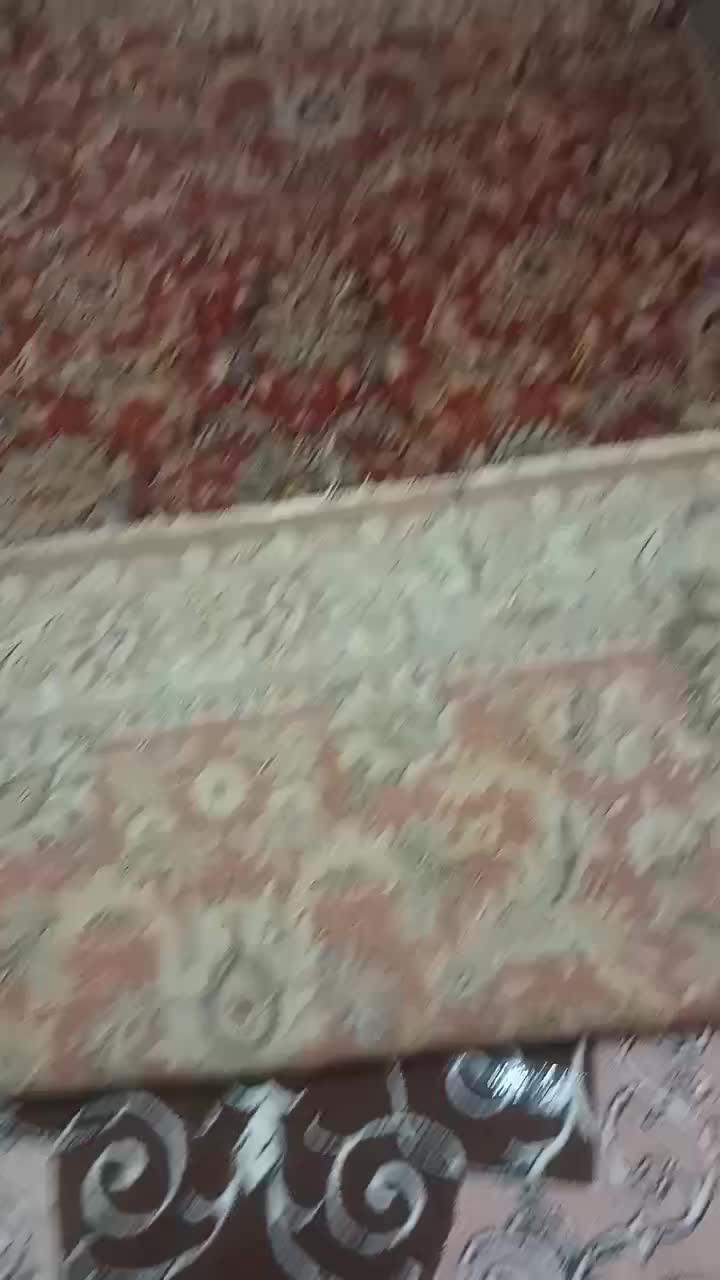 فرش دستبافت موکت|فرش|پرند, فاز ۶|دیوار