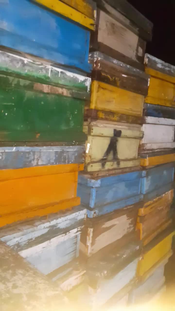 کندو زنبور عسل ۵۰۰ عددو۳۰۰ طبق|لوازم جانبی حیوانات|لاران, |دیوار