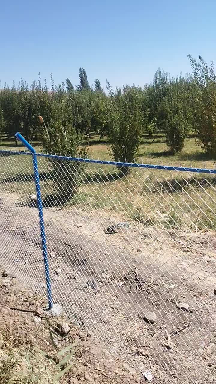 گروه پیمانکاری فنس کاران بوکان|مصالح و تجهیزات ساختمان|بوکان, |دیوار