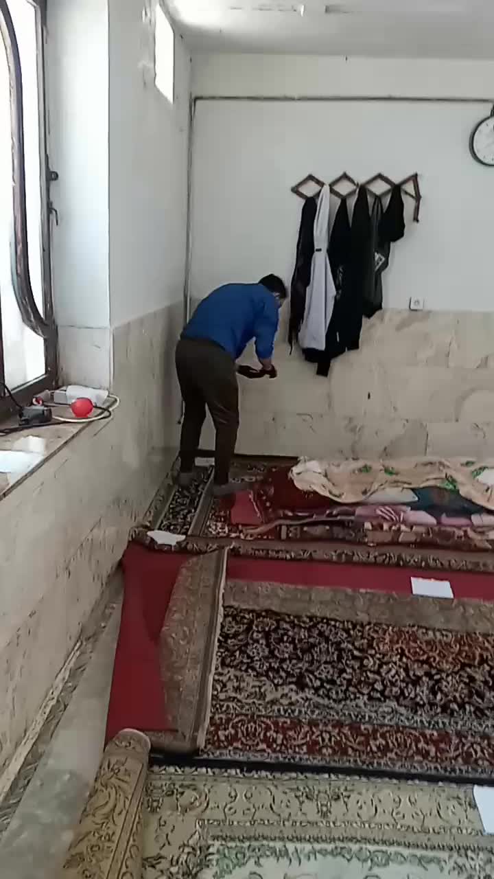 سم پاشی ساس سمپاشی کلیه حشرات موش کنه گال شپش|خدمات نظافت|تهران, بهمن یار|دیوار