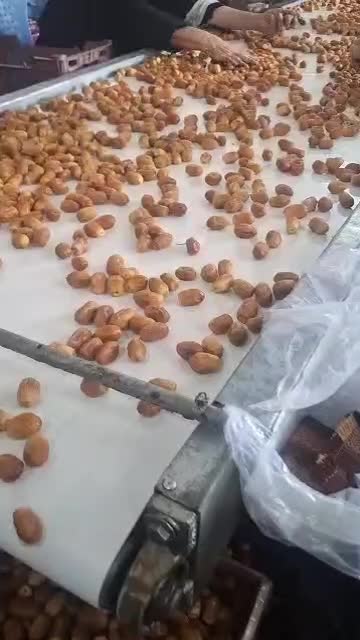خرما زاهدی|خوردنی و آشامیدنی|تهران, شهرک چیتگر|دیوار