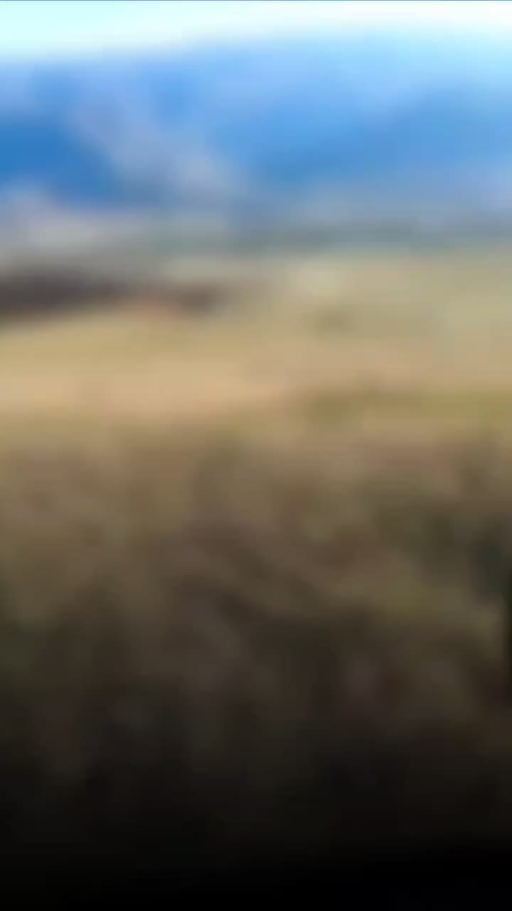 200 نیکتاز دیسک چپ|موتورسیکلت|کلاله, |دیوار