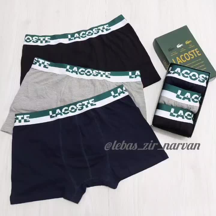 شورت( تامی ، کلوین ، لاگوست ) اورجینال|لباس|شیراز, عادل آباد|دیوار