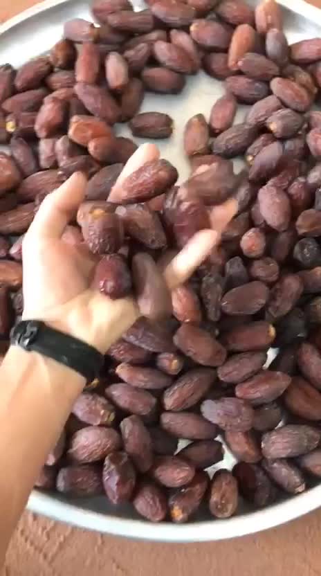 خرمای مجول مراکشی|خوردنی و آشامیدنی|شیراز, میانرود|دیوار