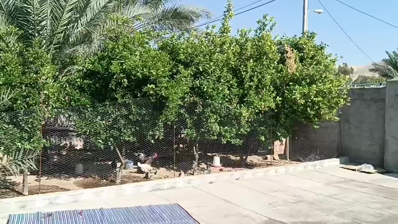 خانه روستایی(خانه باغ)|فروش خانه و ویلا|صالح آباد (ایلام), |دیوار