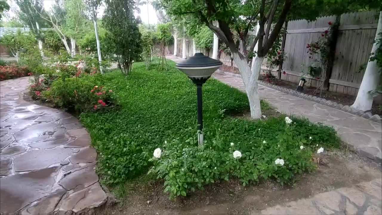 اجرای کلیه خدمات گیاهپزشکی و باغبانی|خدمات باغبانی و درختکاری|مشهد, شهرک امام هادی (شهرک غرب)|دیوار