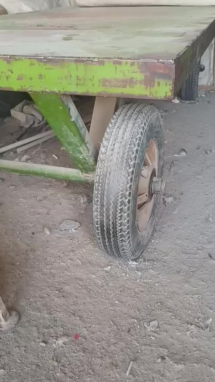 قفس طوربند دوچرخه گاری|لوازم جانبی حیوانات|اصفهان, ارداجی|دیوار