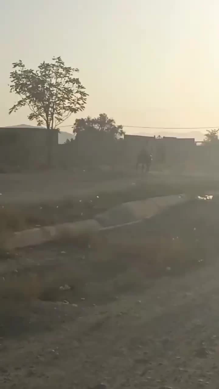 اسب معاوضه با موتور|اسب و تجهیزات اسبسواری|نجفآباد, شیخ بهایی جنوبی|دیوار