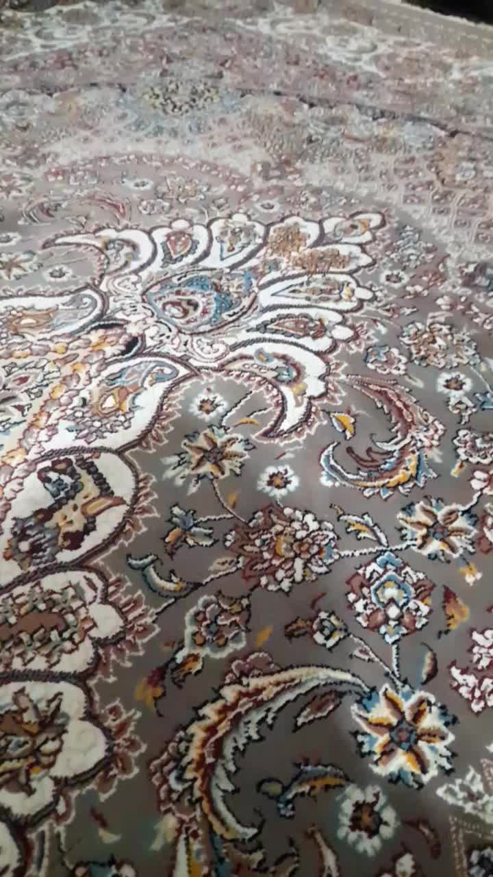 سگ پامر خرسی|سگ|قم, قلعه کامکار|دیوار