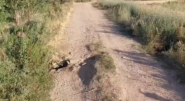 زمین کشاورزی|فروش دفتر صنعتی، کشاورزی، تجاری|سپیدان, |دیوار